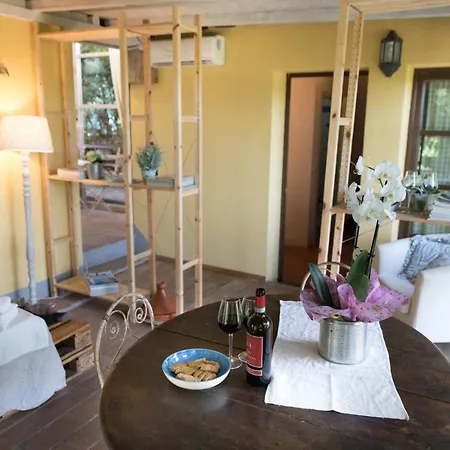 Alpaca Apartment Pontedera