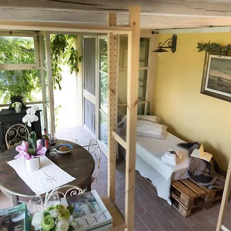 Alpaca Apartment